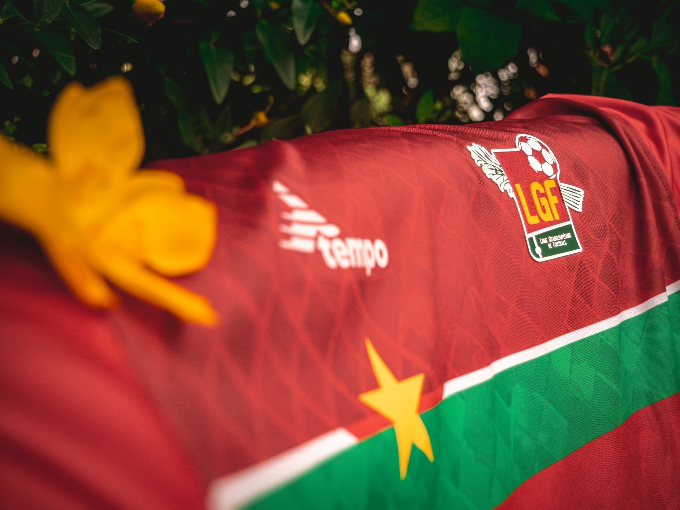 Guadeloupe 2024/2025 - Wilde Shirts