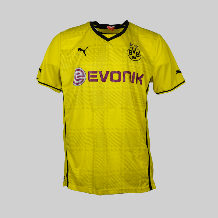 Borussia Dortmund Thuisshirt 2013/2014
