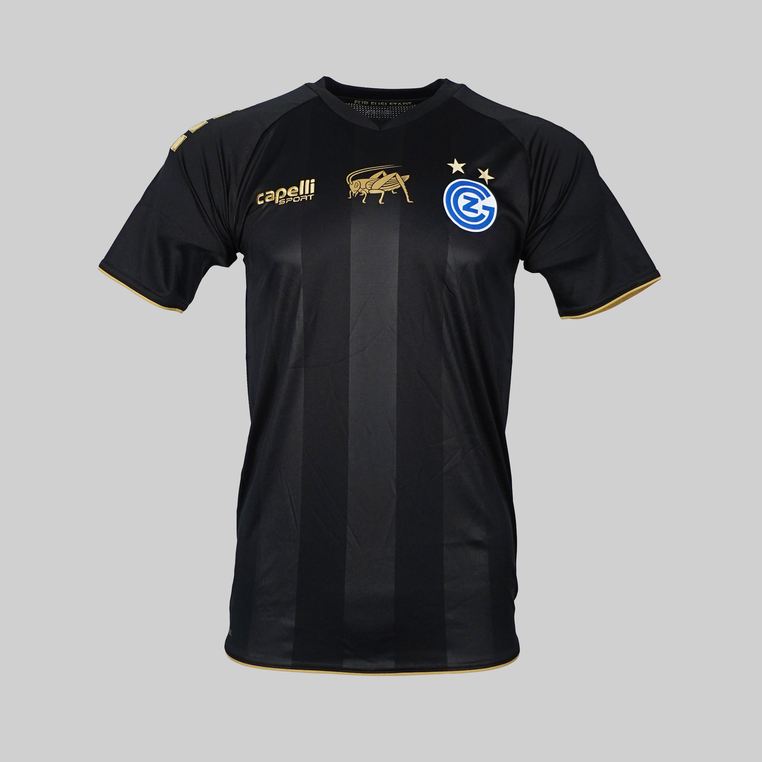 Grasshoppers Zürich Uitshirt 2023/2024