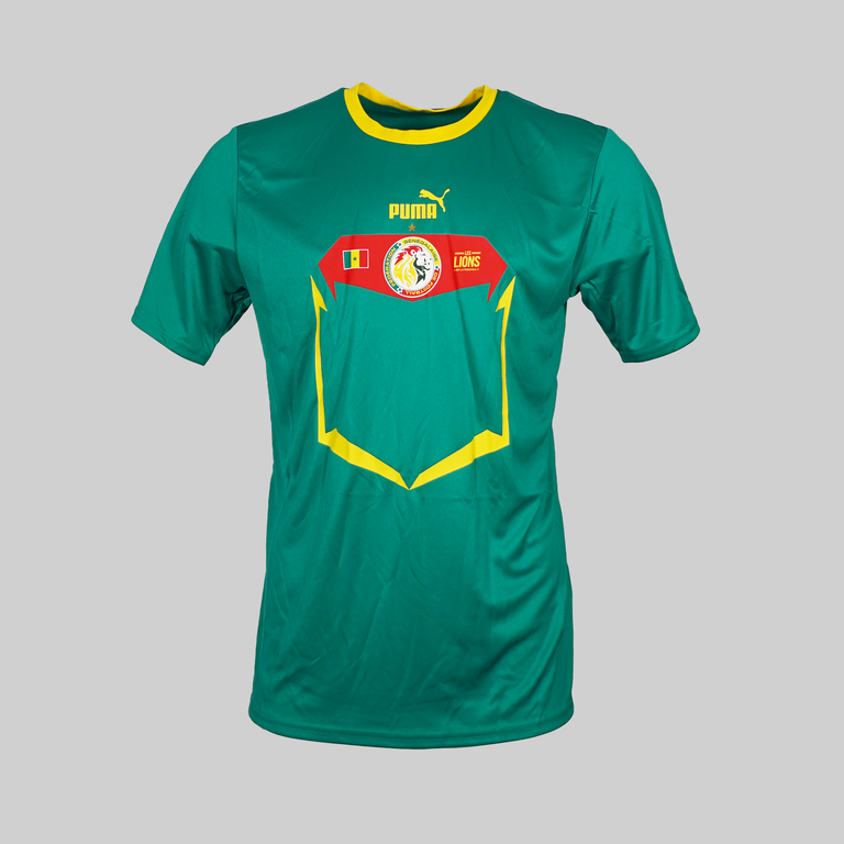 Senegal WK 2022 Uitshirt